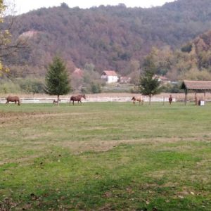 Mini odmor u Gučevu 2018.-16