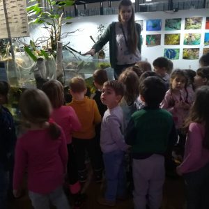 Poseta Javnog akvarijuma i terarijuma u Beogradu-10