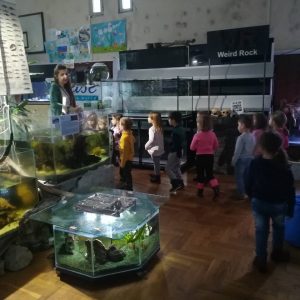 Poseta Javnog akvarijuma i terarijuma u Beogradu-12
