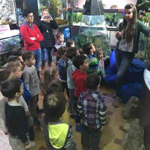 Poseta Javnog akvarijuma i terarijuma u Beogradu-15