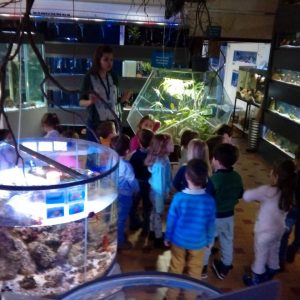 Poseta Javnog akvarijuma i terarijuma u Beogradu-3