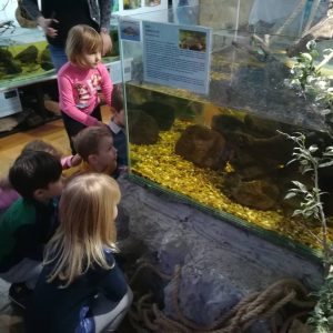 Poseta Javnog akvarijuma i terarijuma u Beogradu-4