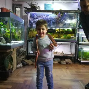 Poseta Javnog akvarijuma i terarijuma u Beogradu-6