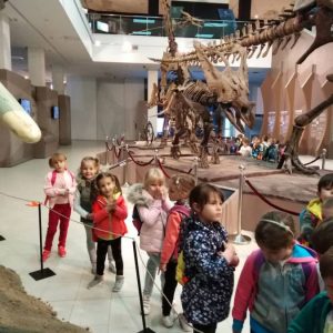 Poseta Prirodnjackog muzeja-2