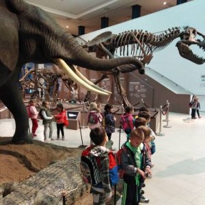 Poseta Prirodnjackog muzeja-6