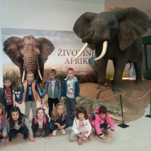 Poseta Prirodnjackog muzeja-7