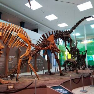 Poseta Prirodnjackog muzeja-9