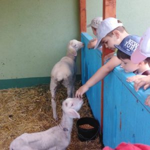 Poseta Tamiških konaka i narodne bašte u Pančevu-11