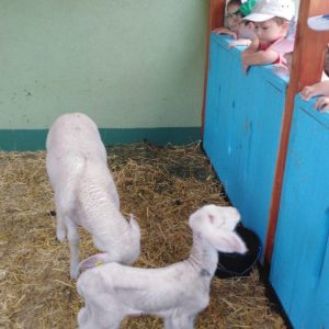 Poseta Tamiških konaka i narodne bašte u Pančevu-6