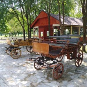 Poseta Tamiških konaka i narodne bašte u Pančevu-7