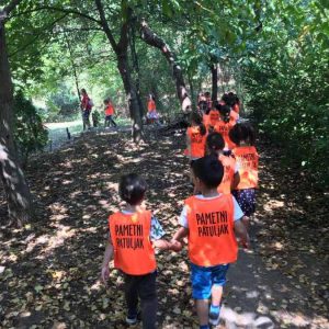 Šetnja u septembru-2