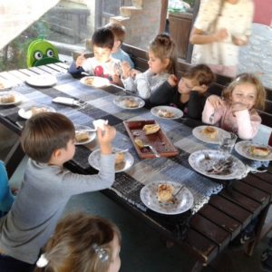 Poseta Ergele konja u Crepaji-11