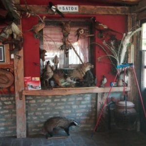 Poseta Ergele konja u Crepaji-12