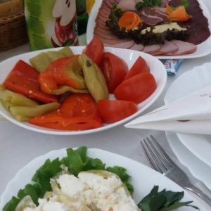 Poseta Ergele konja u Crepaji-13