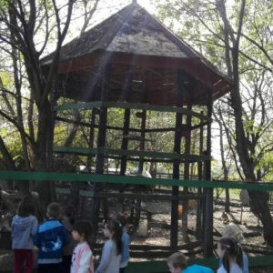 Poseta Ergele konja u Crepaji-14