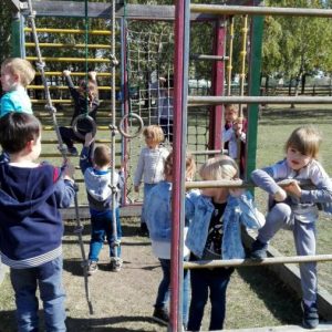 Poseta Ergele konja u Crepaji-15