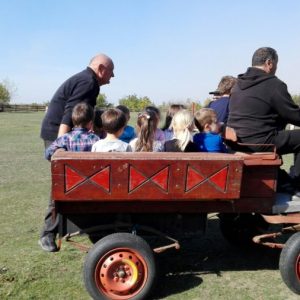 Poseta Ergele konja u Crepaji-17