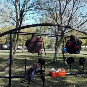 Poseta Ergele konja u Crepaji-18