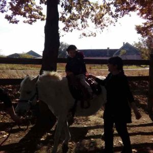 Poseta Ergele konja u Crepaji-19