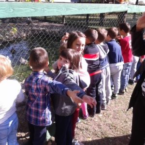 Poseta Ergele konja u Crepaji-2