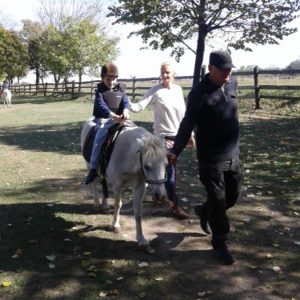 Poseta Ergele konja u Crepaji-3