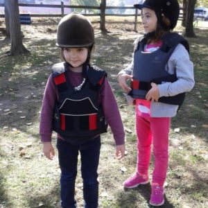 Poseta Ergele konja u Crepaji-4