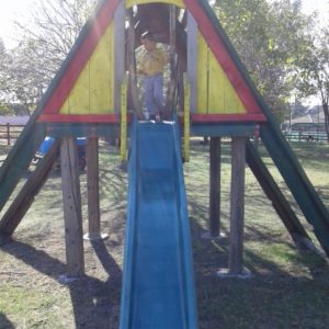 Poseta Ergele konja u Crepaji-8