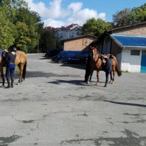 Poseta konjičke brigade-13