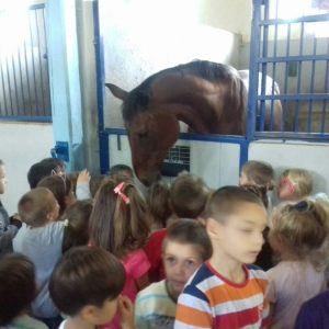 Poseta konjičke brigade-14