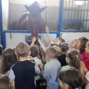 Poseta konjičke brigade-4