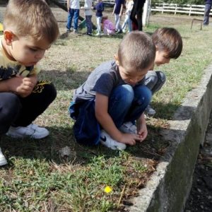 Poseta konjičke brigade-6