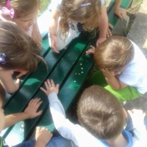 Sportić u jaslicama-20