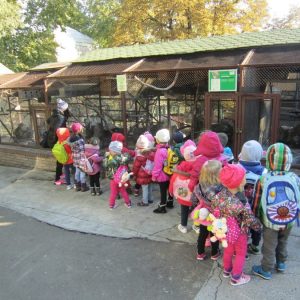 ZOO VRT 2016-12