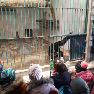ZOO VRT 2016-3