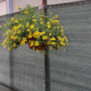 Dvoriste Pametni Patuljak - 007