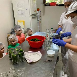 Zimnica Pametni patuljak - 007