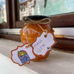 Zimnica Pametni patuljak - 008