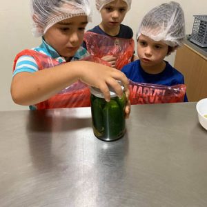 Zimnica Pametni patuljak - 009