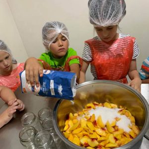 Zimnica Pametni patuljak - 020