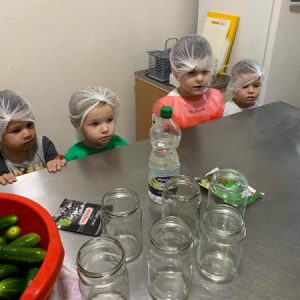 Zimnica Pametni patuljak - 023