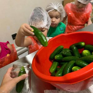 Zimnica Pametni patuljak - 024