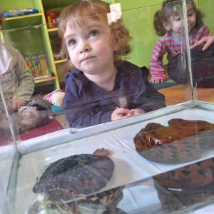 Decije aktivnosti-011