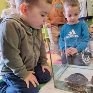 Decije aktivnosti-012