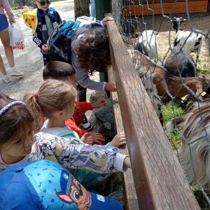 Rekreativna nastava - 013